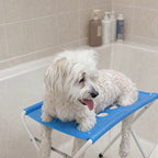 Maltés en la hamaca de baño FrescaPet azul en la bañera